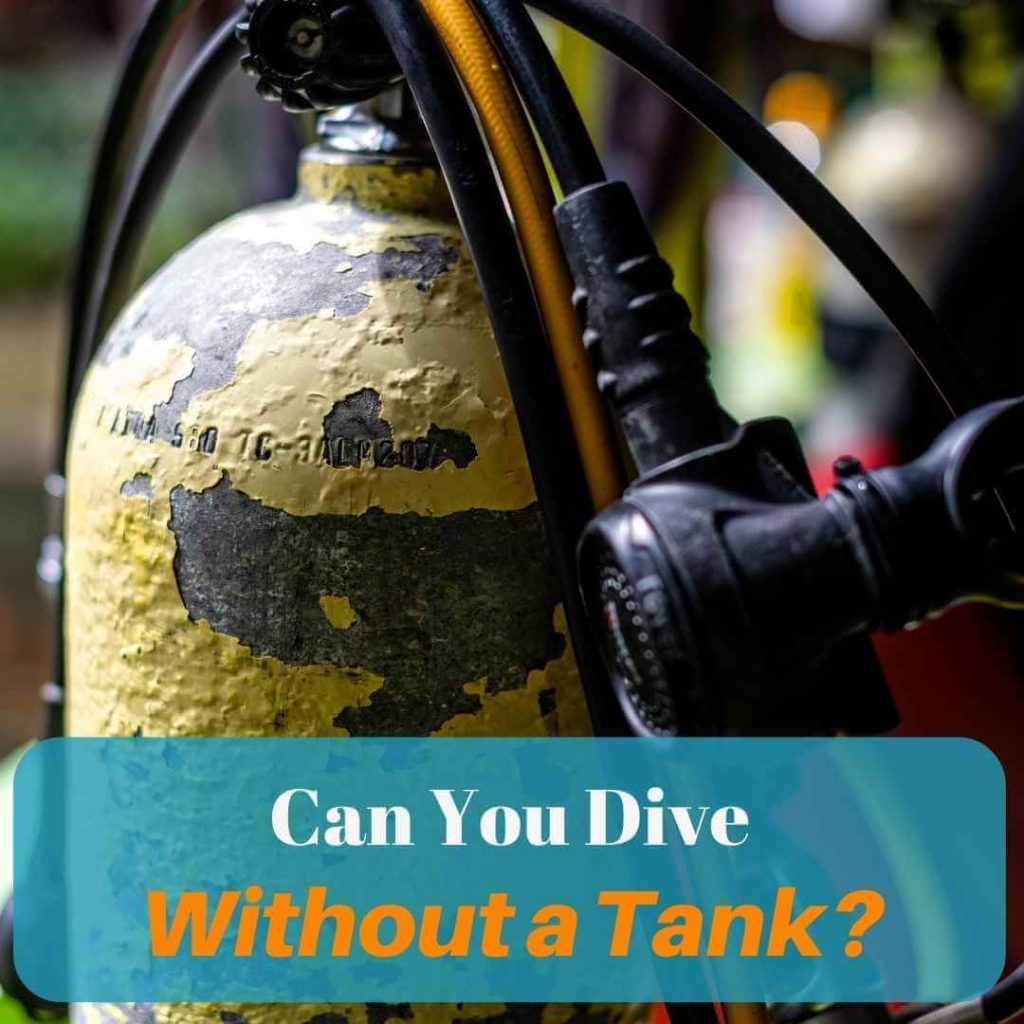 Can You Dive Without A Tank? OC Scuba Center