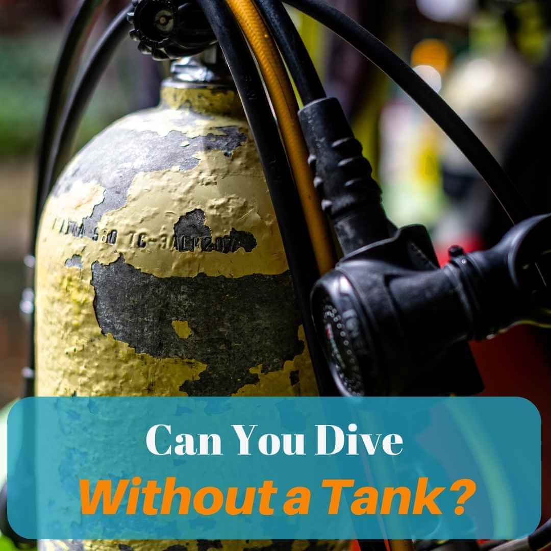can you dive without a tank
