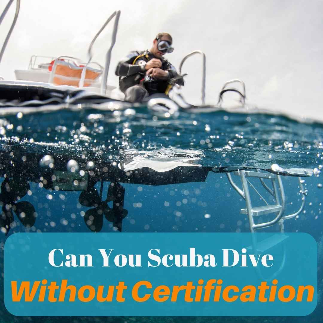 can you scuba dive without a certification
