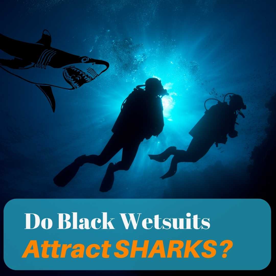 do black wetsuits attract sharks