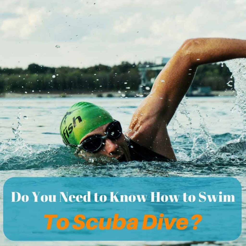 Do You Need to Know How To Swim to Scuba Dive? OC Scuba Center