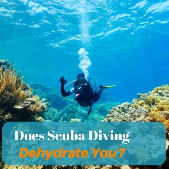 does scuba diving dehydrate you