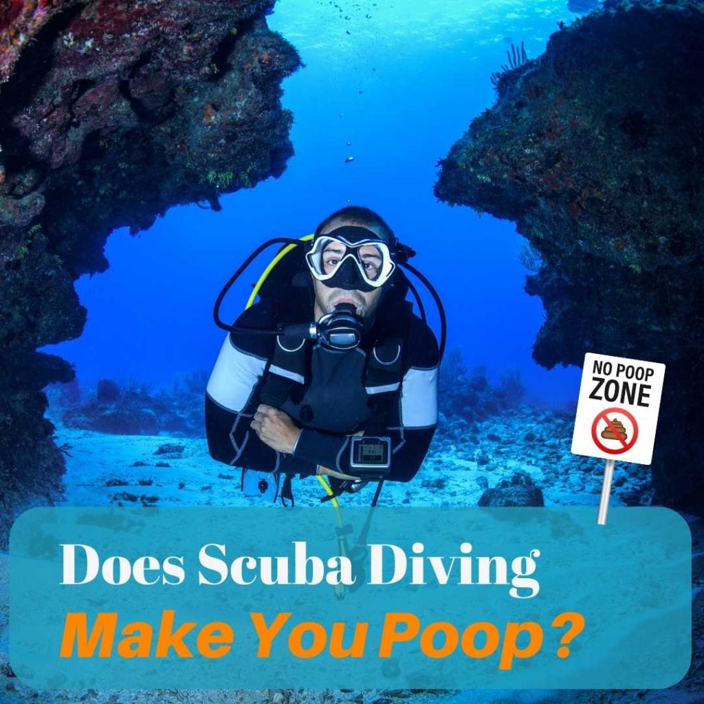 Does Scuba Diving Make You Poop? OC Scuba Center