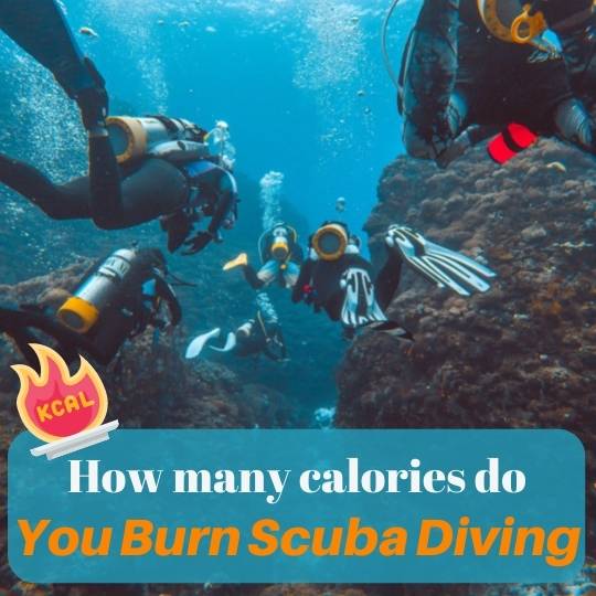 how many calories do you burn scuba diving