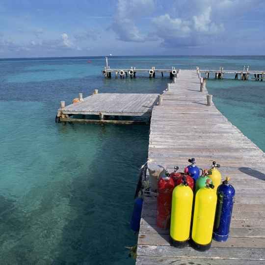 Scuba tanks on a dock