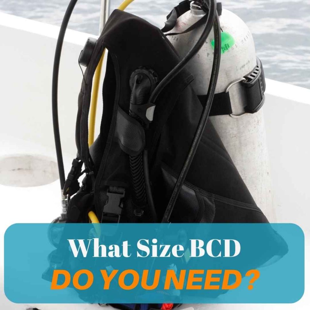 What Size BCD Do I Need? [Charts Included] - OC Scuba Center