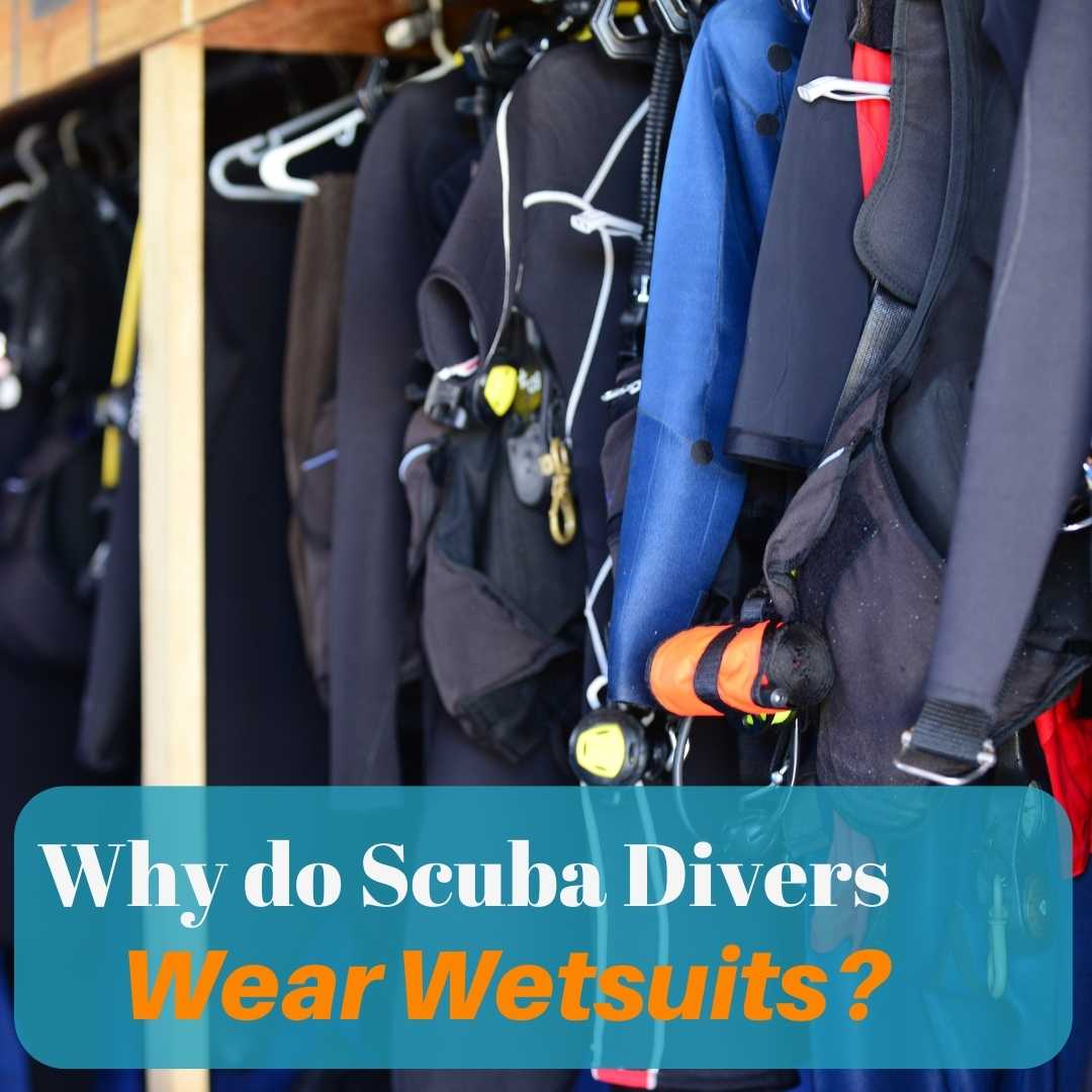 why do scuba divers wear wetsuits