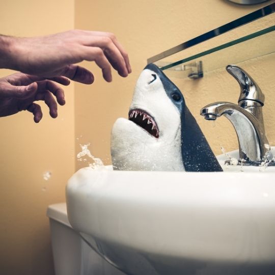 a shark head in the sink