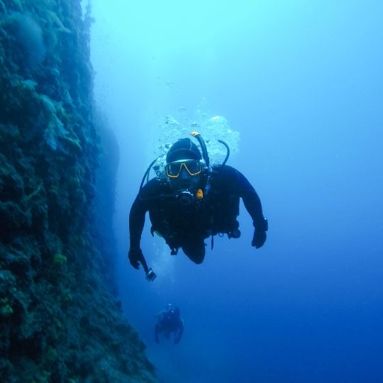 a scuba diver underwater