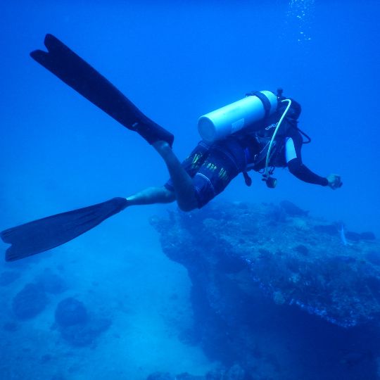 a scuba diver underwater