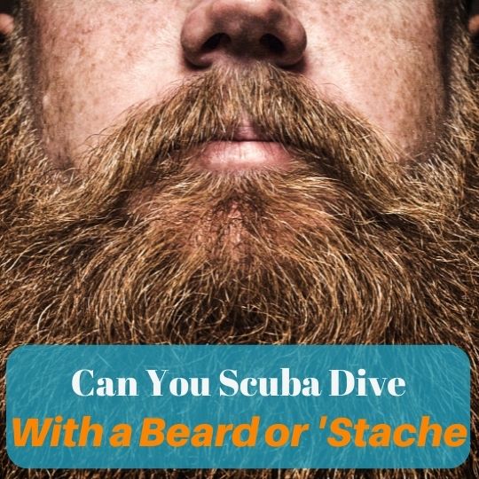 can you scuba dive with a beard or mustache blog featured image