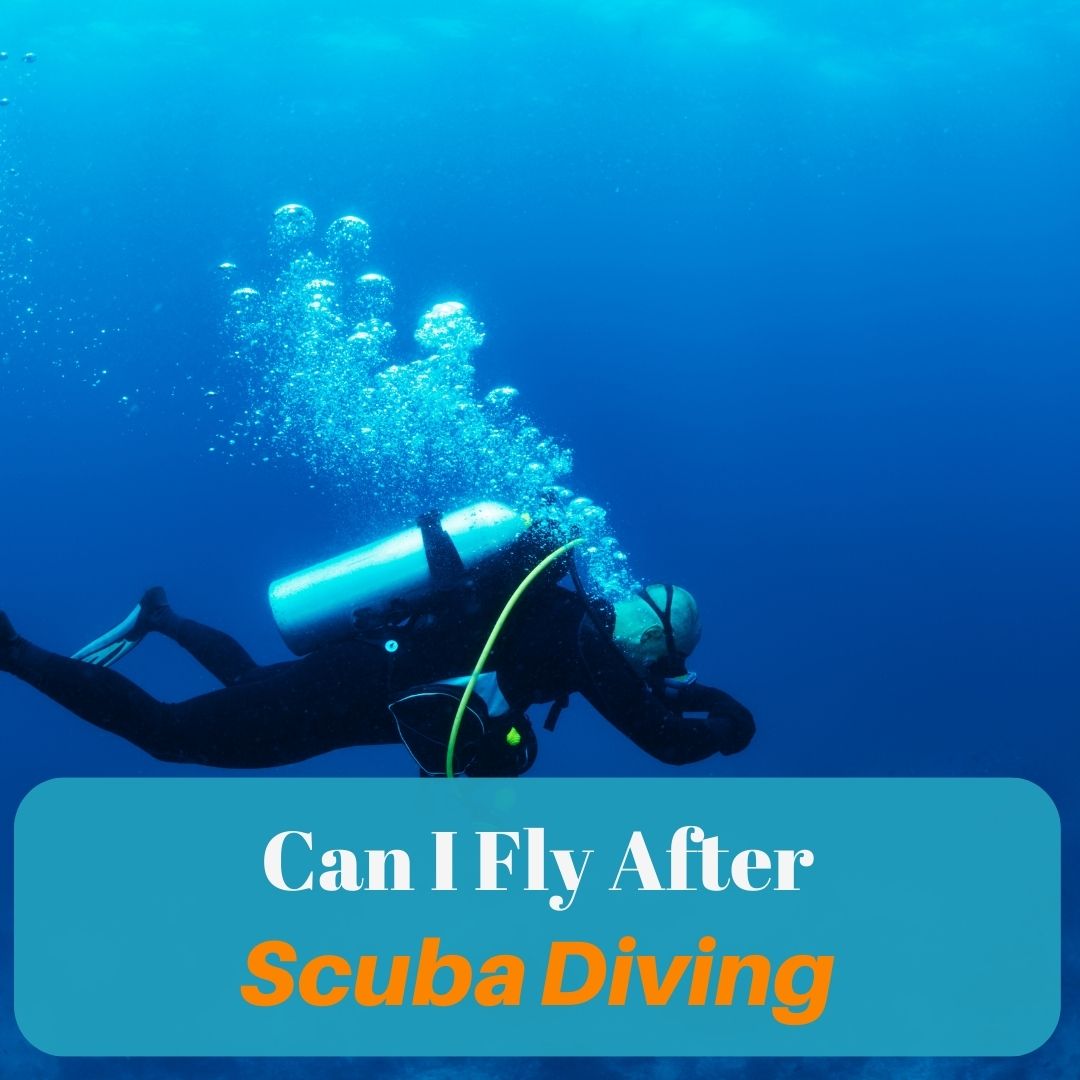 an image of a scuba diver and text overlay