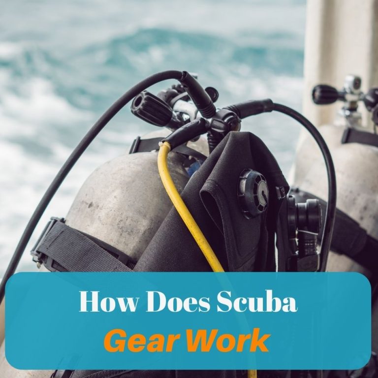 an image of scuba gear