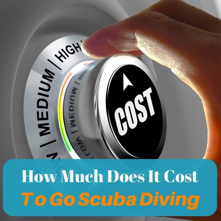 an illustration for measuring the cost to go scuba diving