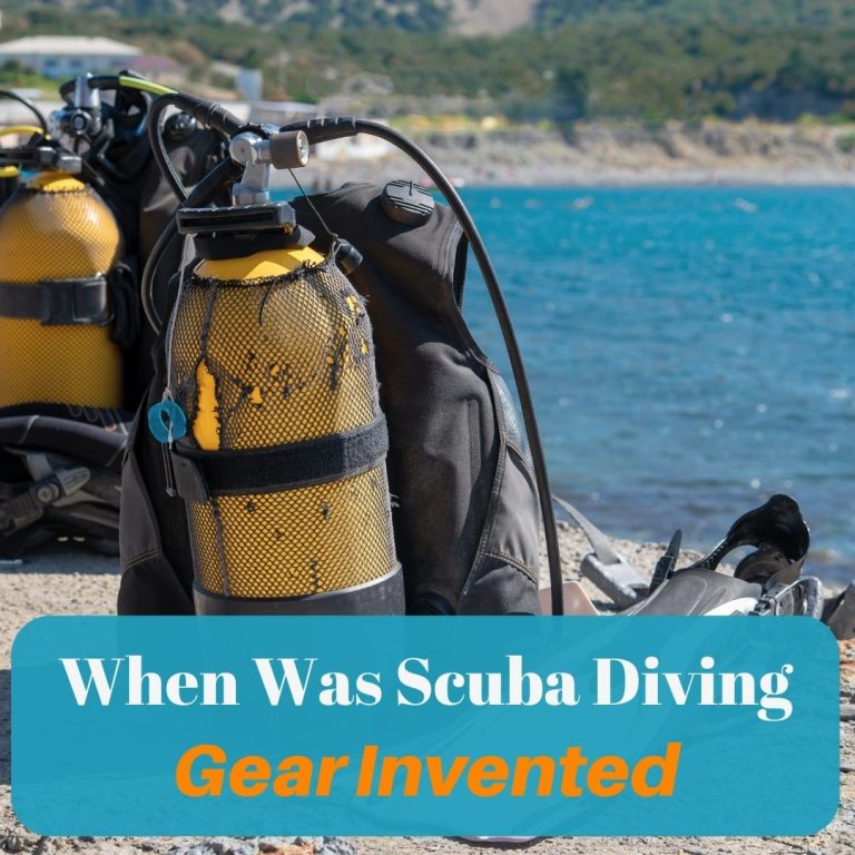 an image of scuba diving gear